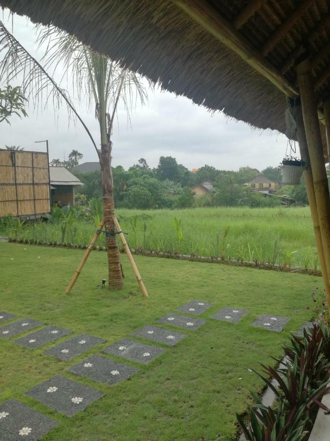 Hello Canggu Homestay Exteriér fotografie